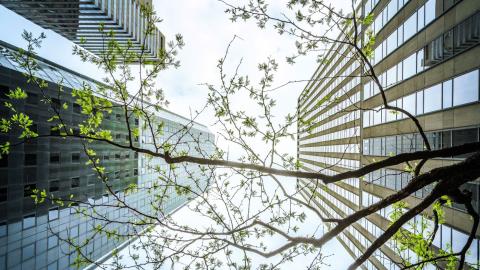 BBVA to issue financial sector&#39;s first biodiversity bond