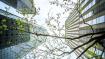 BBVA to issue financial sector&#39;s first biodiversity bond